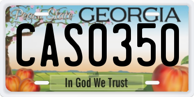 GA license plate CAS0350