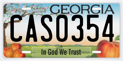 GA license plate CAS0354