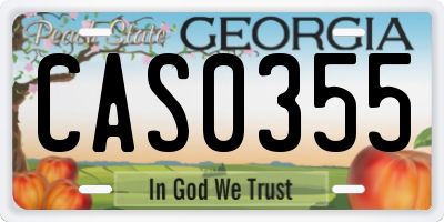 GA license plate CAS0355