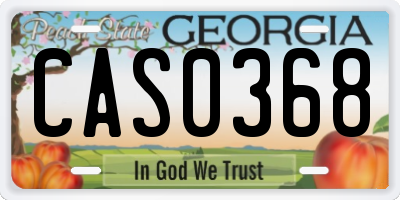 GA license plate CAS0368