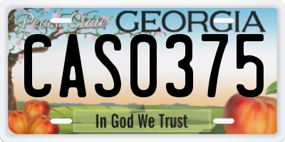 GA license plate CAS0375