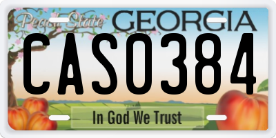 GA license plate CAS0384