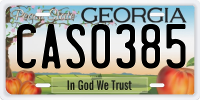 GA license plate CAS0385