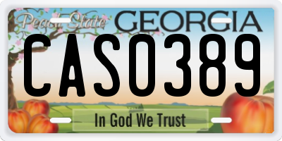 GA license plate CAS0389