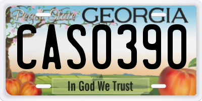 GA license plate CAS0390