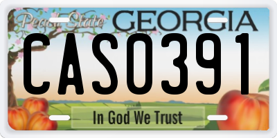 GA license plate CAS0391