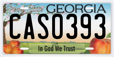 GA license plate CAS0393