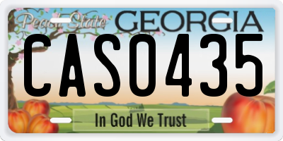 GA license plate CAS0435