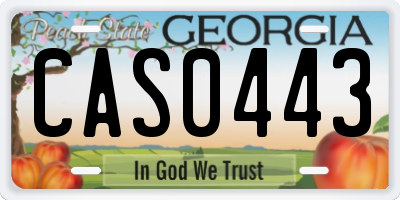 GA license plate CAS0443