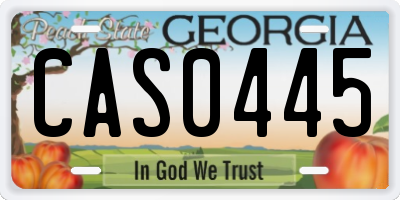 GA license plate CAS0445