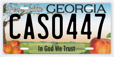 GA license plate CAS0447