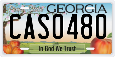 GA license plate CAS0480