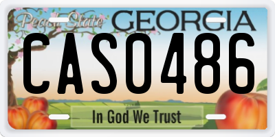 GA license plate CAS0486