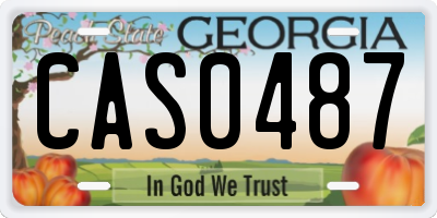 GA license plate CAS0487