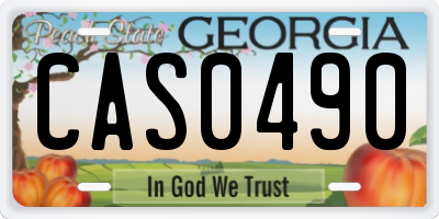 GA license plate CAS0490