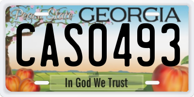 GA license plate CAS0493