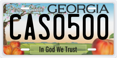 GA license plate CAS0500