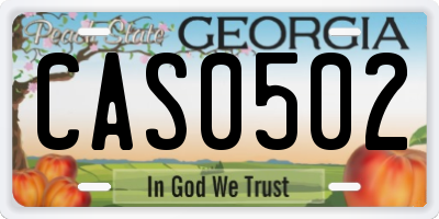 GA license plate CAS0502