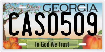 GA license plate CAS0509