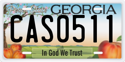 GA license plate CAS0511