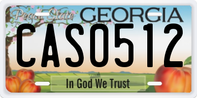 GA license plate CAS0512