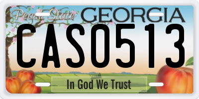 GA license plate CAS0513