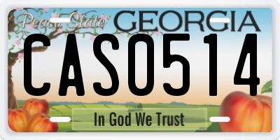 GA license plate CAS0514