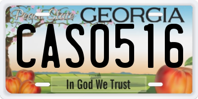 GA license plate CAS0516