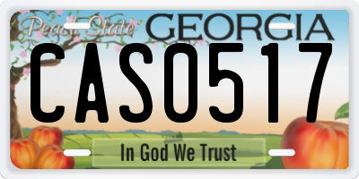GA license plate CAS0517
