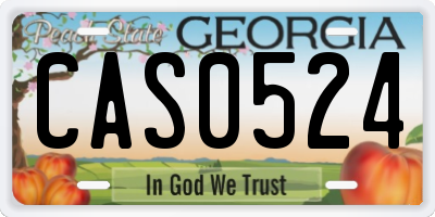 GA license plate CAS0524