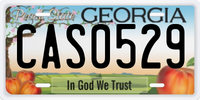 GA license plate CAS0529