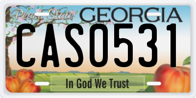 GA license plate CAS0531