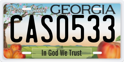GA license plate CAS0533