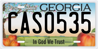 GA license plate CAS0535
