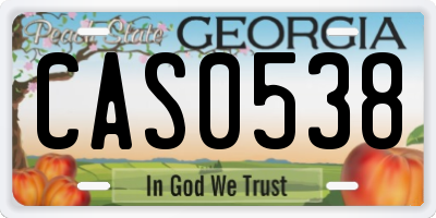 GA license plate CAS0538