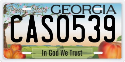 GA license plate CAS0539
