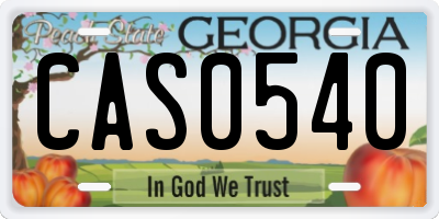 GA license plate CAS0540