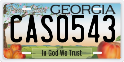 GA license plate CAS0543