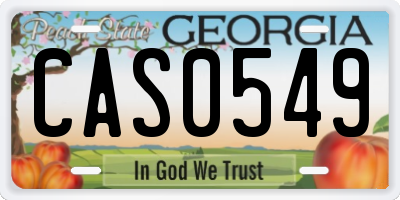 GA license plate CAS0549