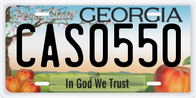 GA license plate CAS0550