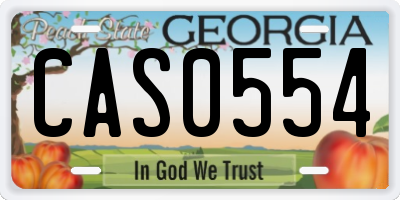 GA license plate CAS0554
