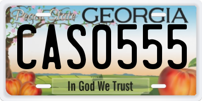 GA license plate CAS0555