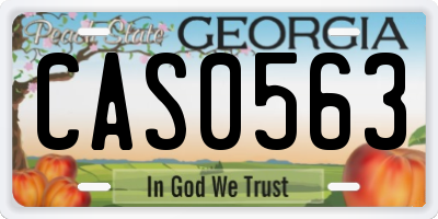 GA license plate CAS0563