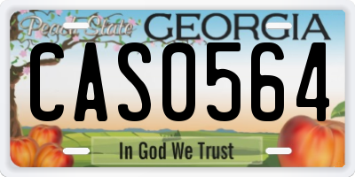 GA license plate CAS0564