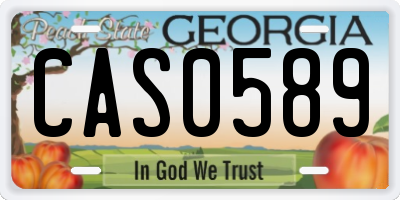 GA license plate CAS0589