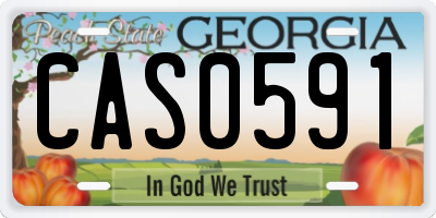 GA license plate CAS0591