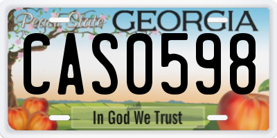 GA license plate CAS0598