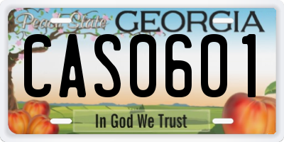 GA license plate CAS0601