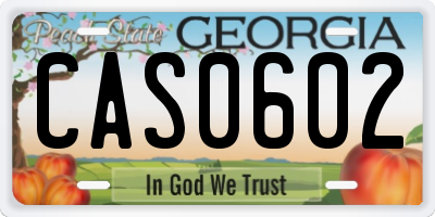 GA license plate CAS0602