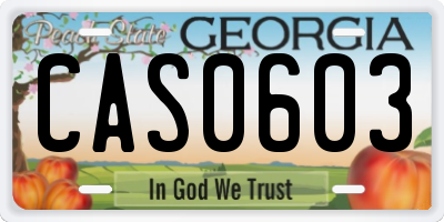 GA license plate CAS0603